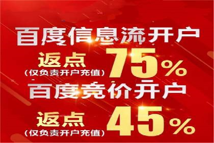 网络推广竞价策略案例分析